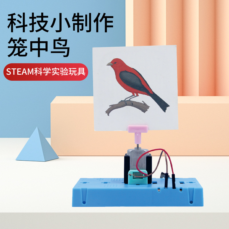 Children's science and education experiment teaching AIDS DIY science and technology small creations Primary school students' science invention material kits caged birds