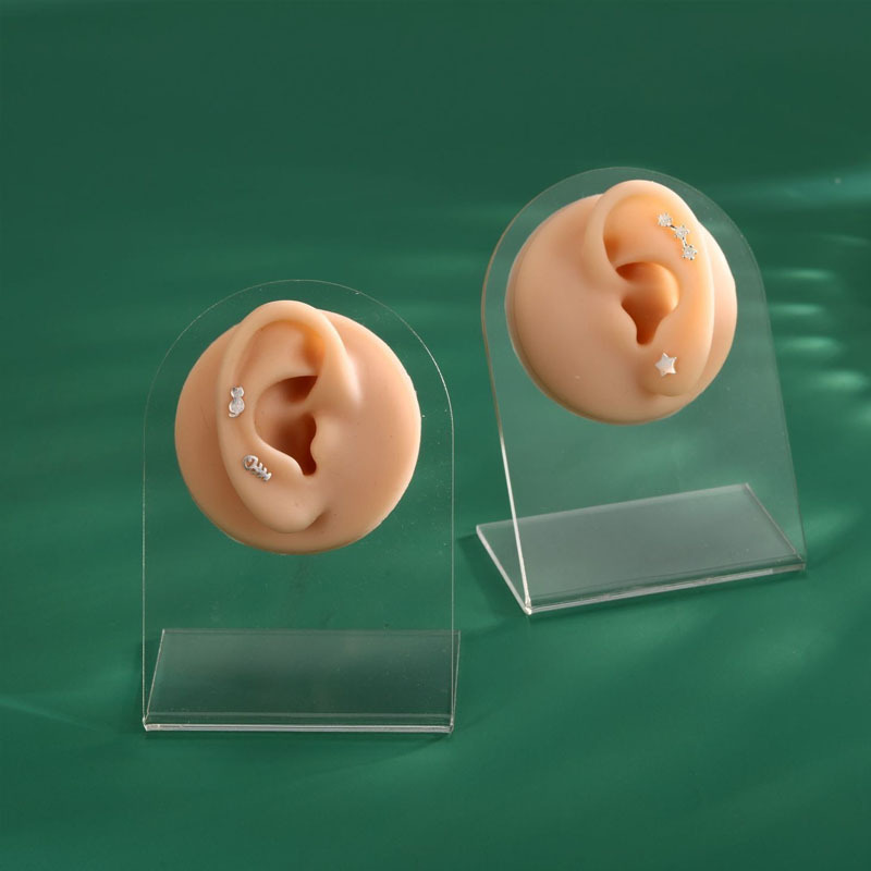 假耳朵摆件软硅胶仿真人耳耳朵模型耳钉耳机医学教学展示道具