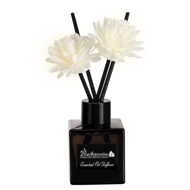 import白底实物图