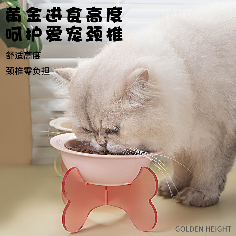 猫猫食具实物图