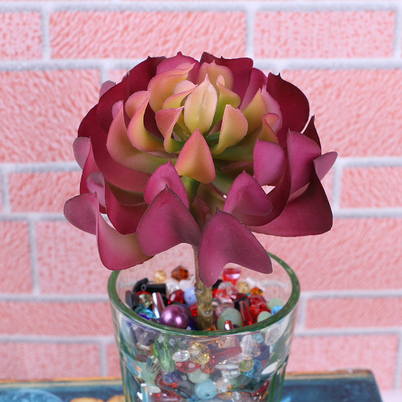 花瓶/水培种植塔/水培花插花/微景观/宠物服饰细节图