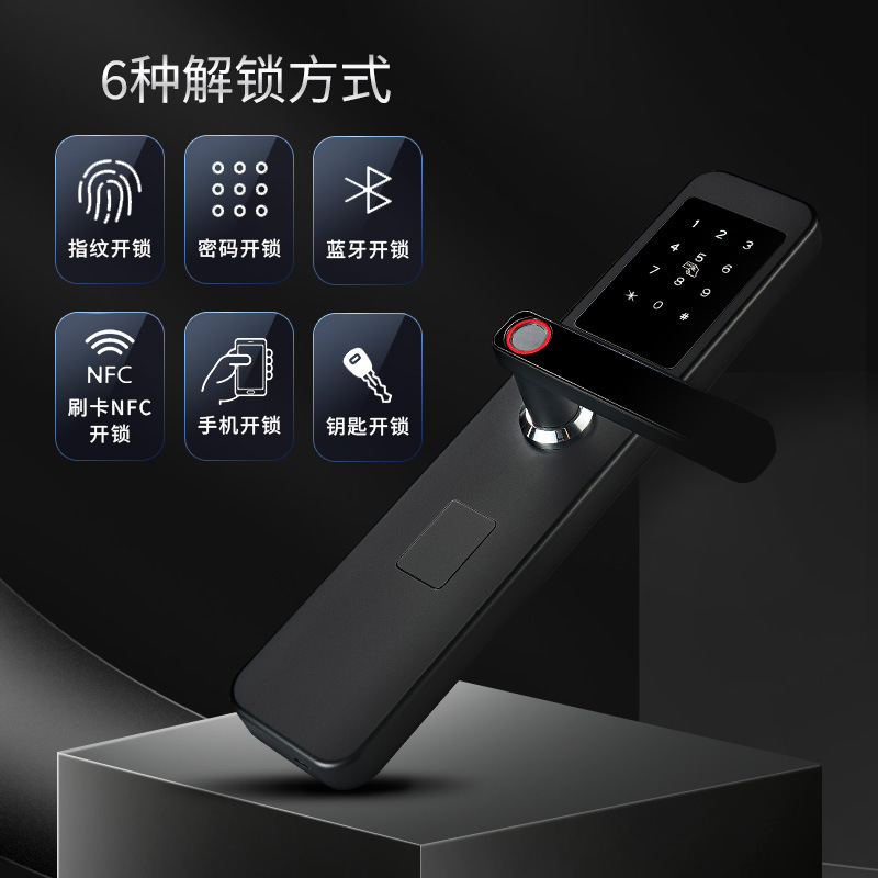 Tongtong Lock Silver and black dual-color smart door lock with facial and fingerprint recognition and blue backlit keyboard details Picture