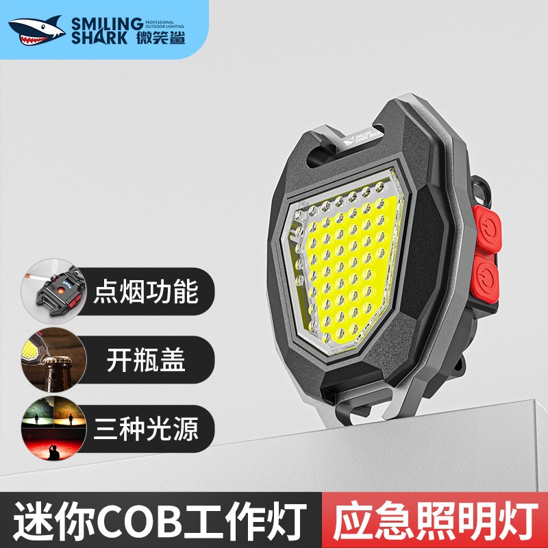 LED应急灯实物图