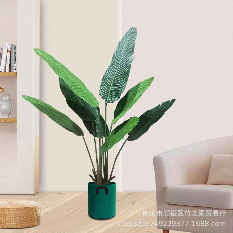 仿真植物实物图