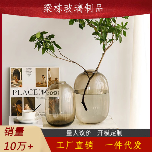 网红简约高级感喜悦玻璃花瓶插花水养客厅马醉木雪柳水培花器代发图