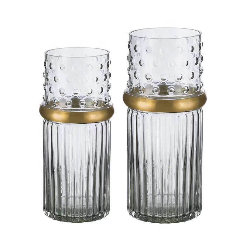 A simple and elegant Nordic style vertical transparent copper ring glass vase with green ivy as a living room decoration details Picture