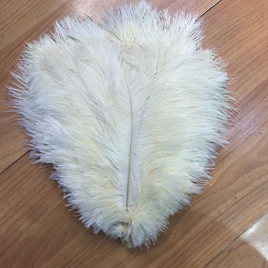 鸵鸟毛摆件网店拍照道具背景天然羽毛唯美美甲拍摄道具孔雀毛摄影20-25图