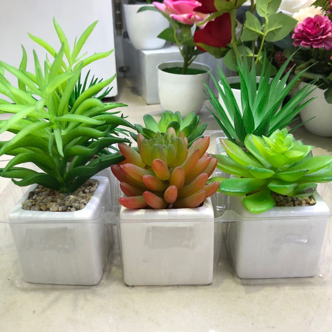 热销可批发仿真多肉仿真植物仿真盆栽植物