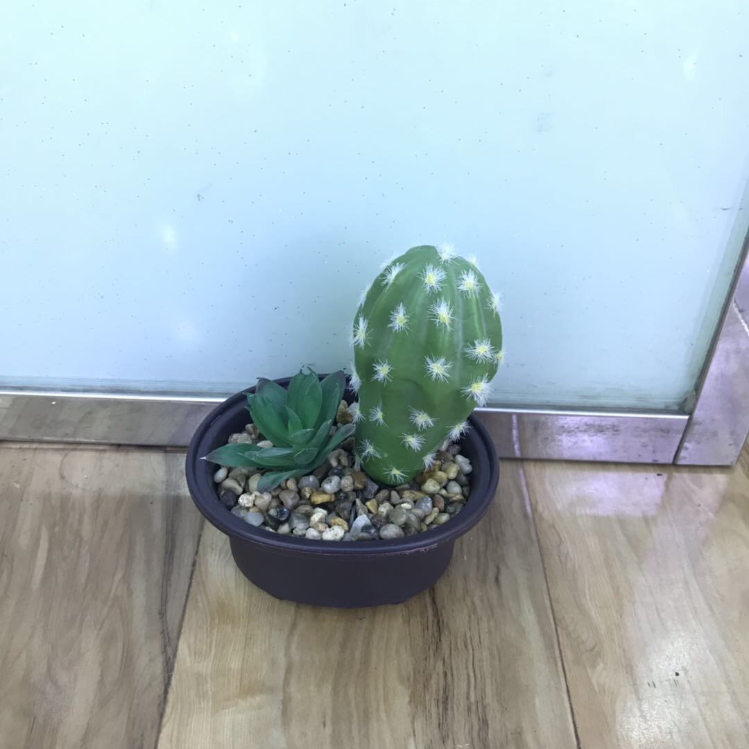 盆栽北欧花植物摆件束塑料仙人掌桌面装饰客厅家居绢花干花套装仿真