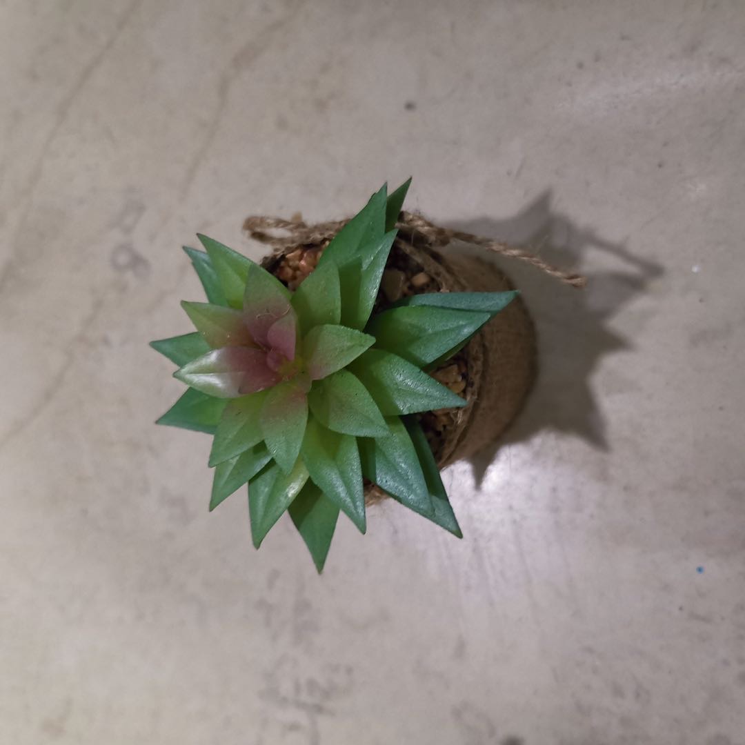 仿真塑料麻布仿真多肉家居摄影摆件装饰288装细节图