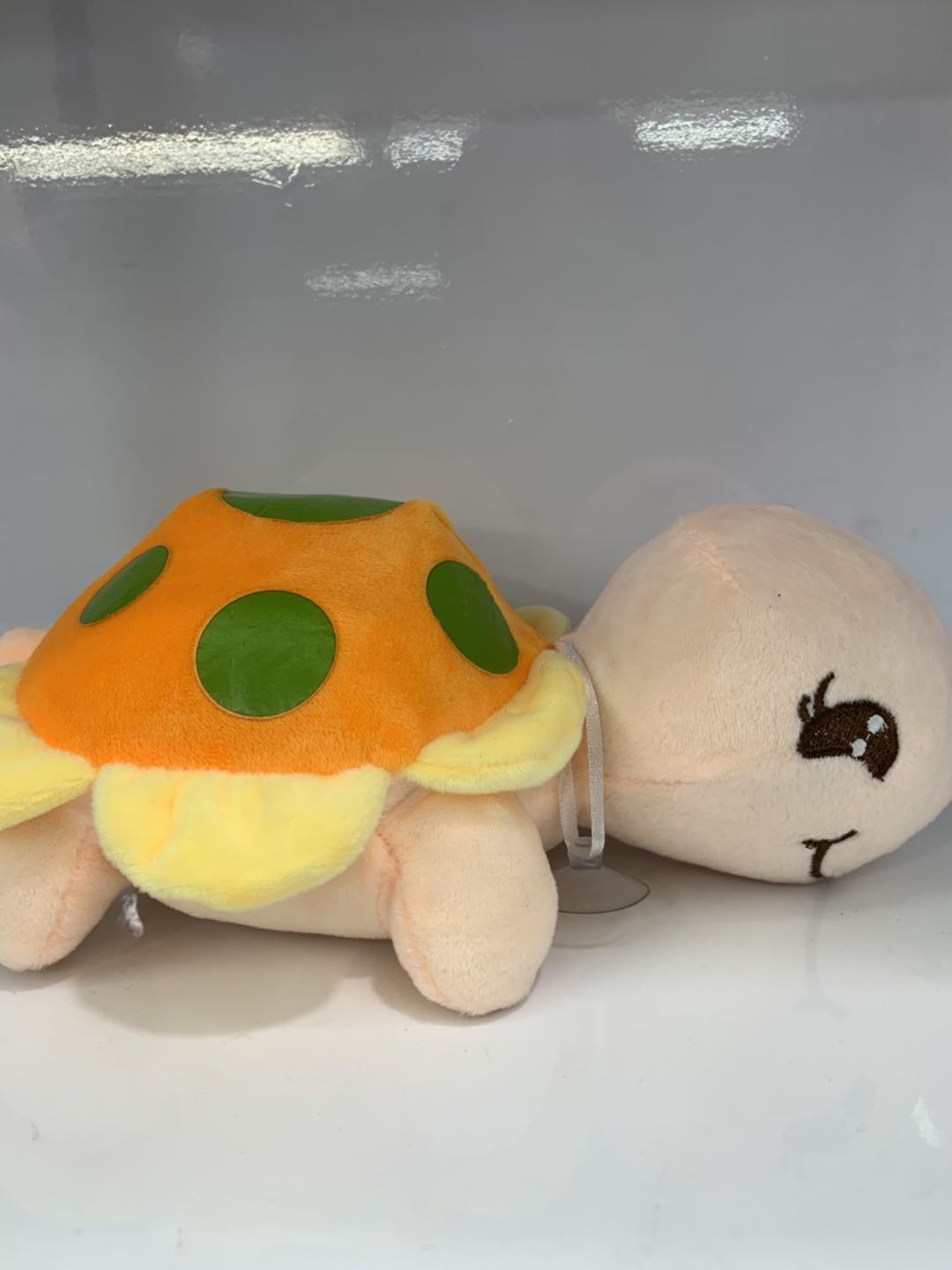 Plush toy color turtle advertising campaign to promote gifts for children and girls thumbnail
