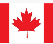 加拿大国旗高档定制旗帜种类国旗