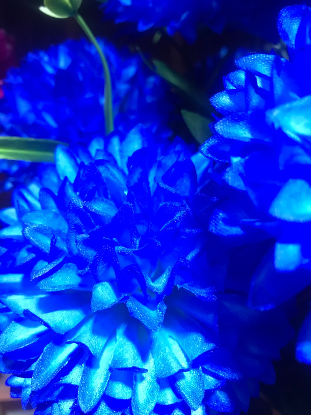 Jianying Flower Shop Non-woven Fabric 9-headed small pointed chrysanthemums Factory direct sales Specification image