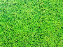 厂家直销天利环保EVA拼图地垫地板 草坪细节图