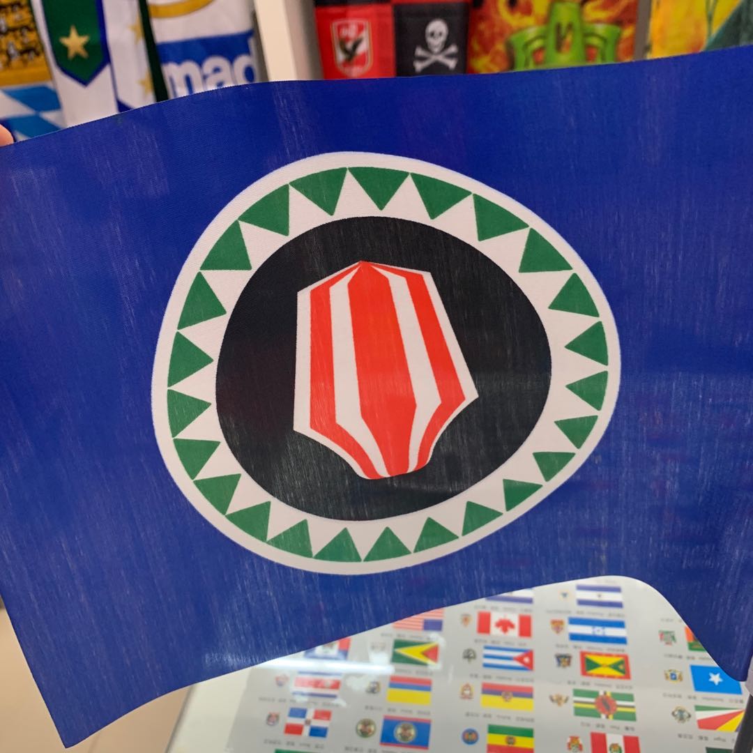 世界国旗手摇旗定制旗帜定做彩旗批发细节图