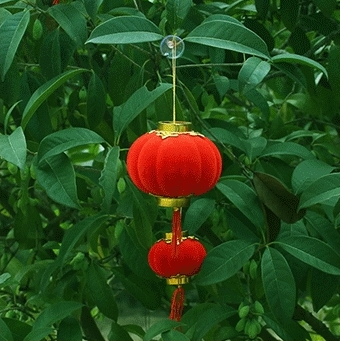 春节元旦新年喜庆装饰品18盆景小灯笼挂饰细节图