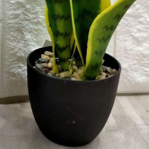 仿真绿植盆栽北欧风室内装饰家居摆件产品图