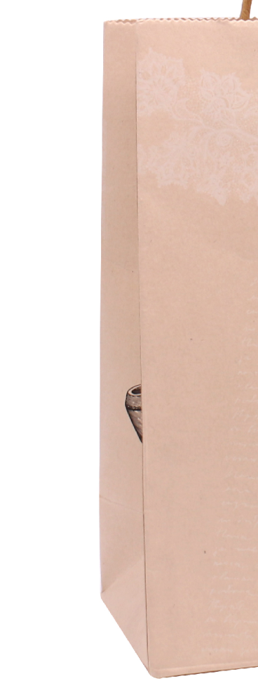 联云彩印包装NPS01手提购物礼品纸袋 定做服装礼品环保白卡纸袋详情图3