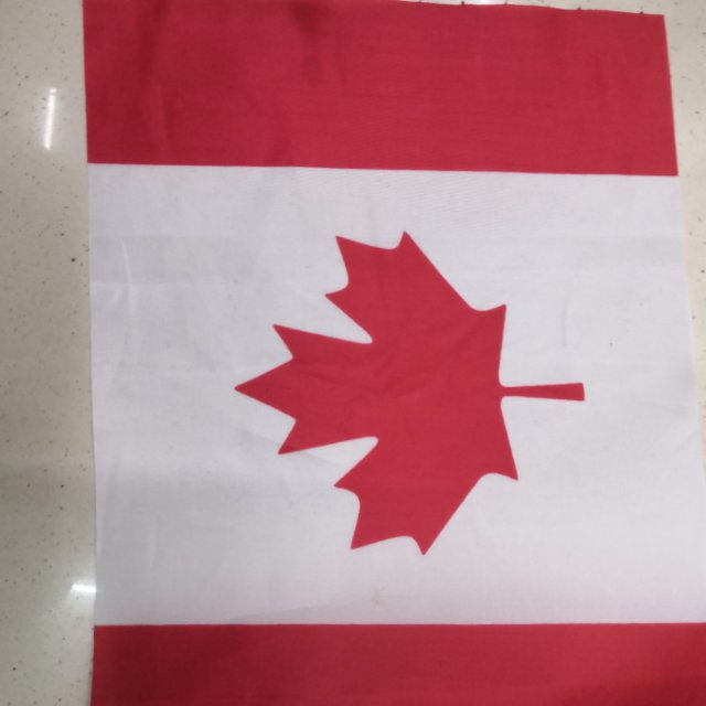 加拿大手挥旗小国旗定做旗帜小红旗世界各国手摇旗产品图