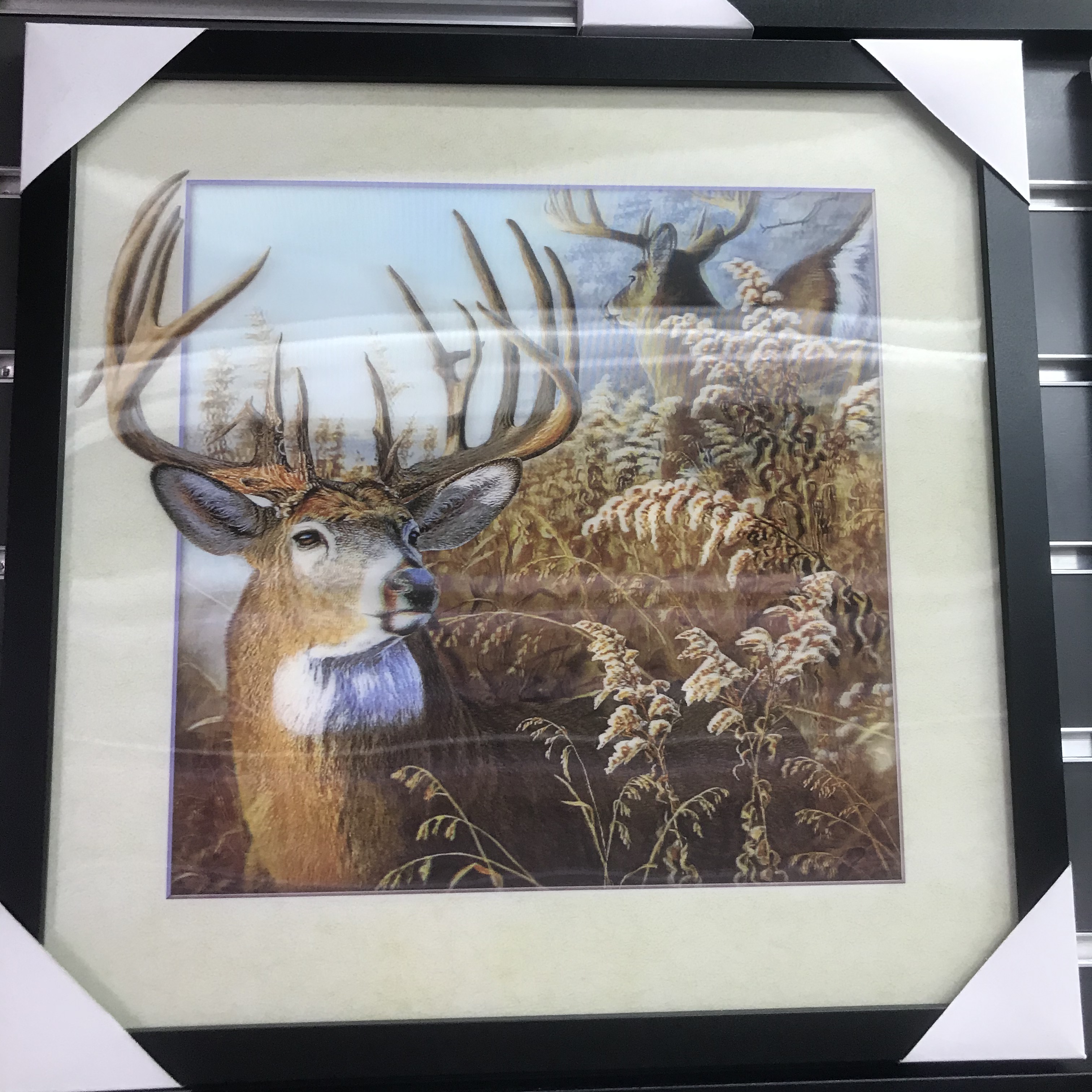 3d画现代装饰画三维立体画高清 无框画客厅风景动物画变幻画