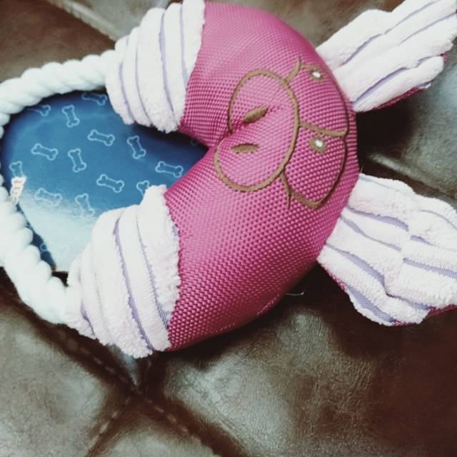 Purple King Gigi Toys Are Commonly Used For Pets Specification drawing