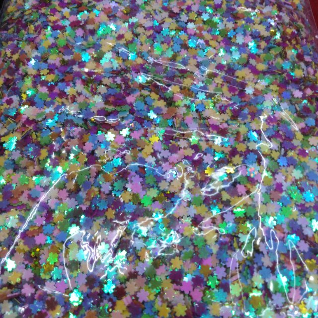 Sequined cherry blossom sequins details Picture