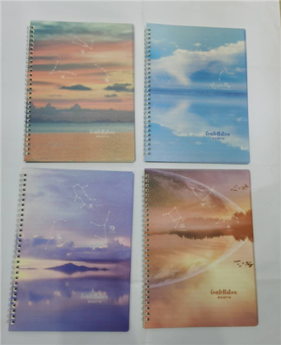 软抄本笔记本16K双线圈活页本记事本