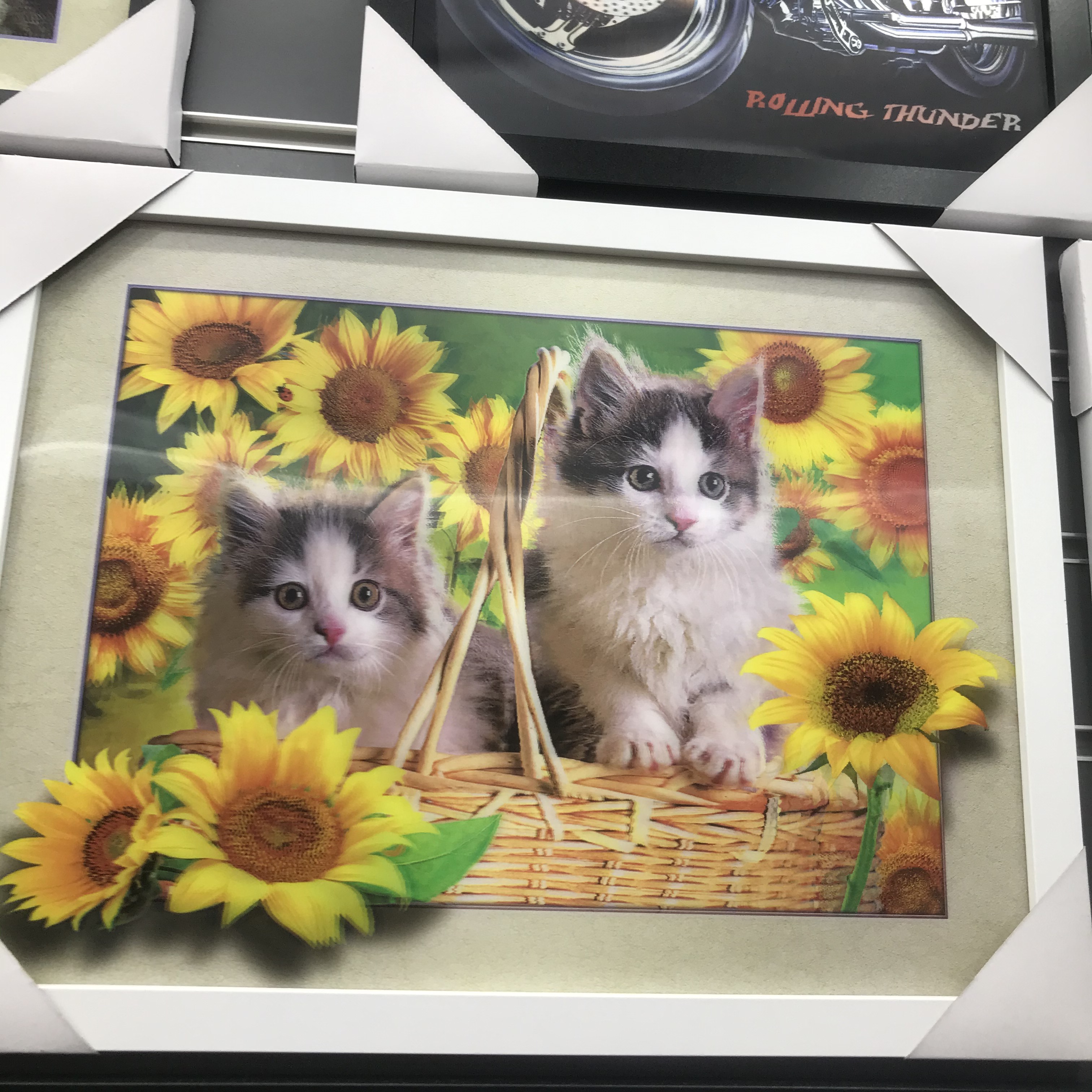 Sunflower, little cat decorative painting, 3D stereoscopic painting, lenticular PET living room room
