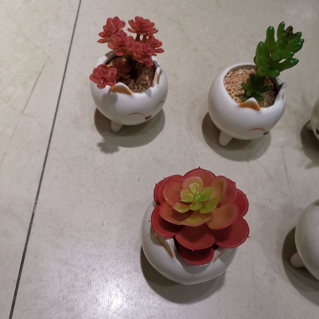 仿真植物仿真花仿真小动物多肉120pcs装产品图