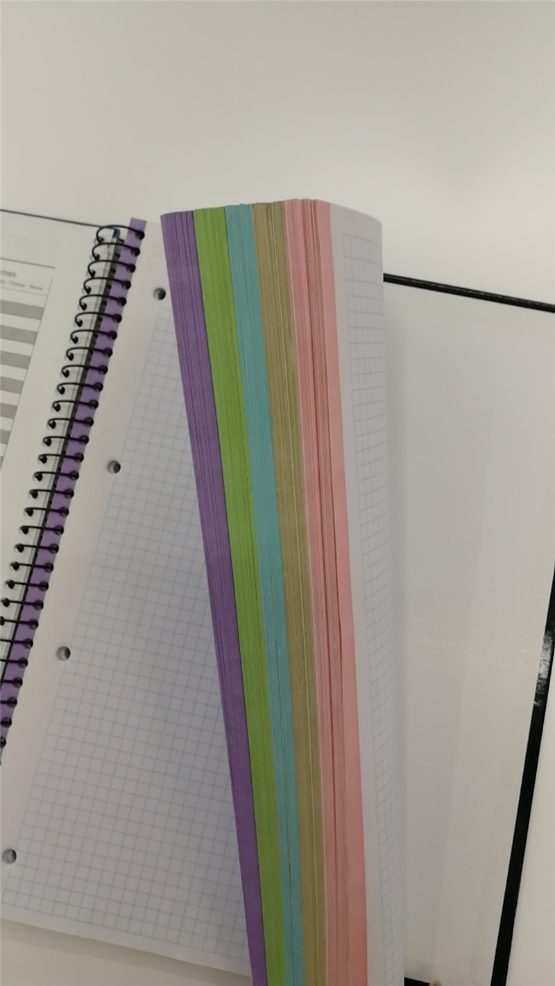 Inner Two-Color Squares 80-Page Single Iron Ring Hard Copy School Supplies Notebook Specification drawing