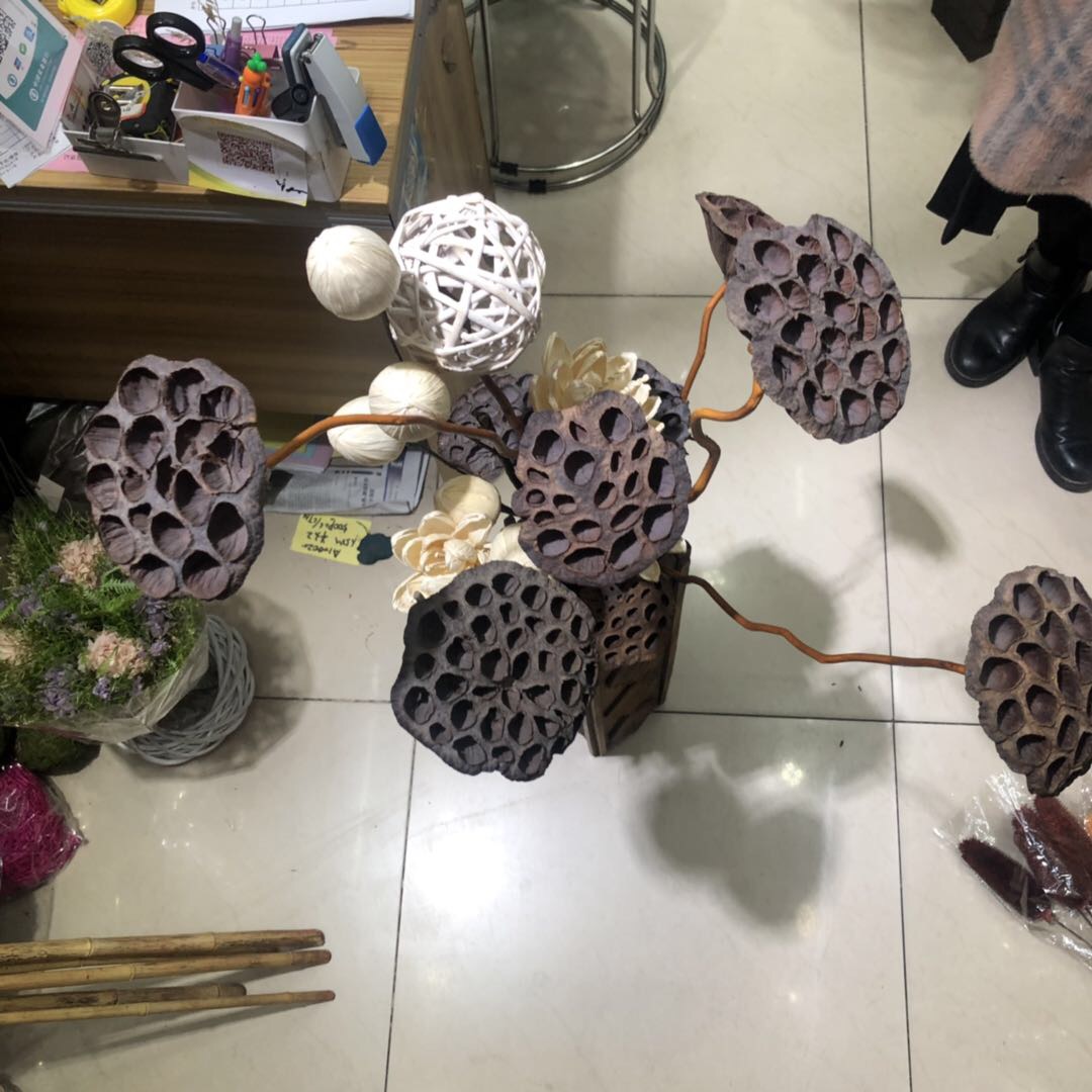 [Lotus seedpod] Original ecological natural art dried flowers true lotus seedpod indoor flower arrangement pieces shooting props thumbnail