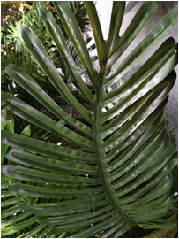Self-Produced And Self-Marketing Simulation Plant Simulation Leaves Simulation Bamboo Bonsai True Bamboo Pole Bamboo Tip Wholesale Specification drawing