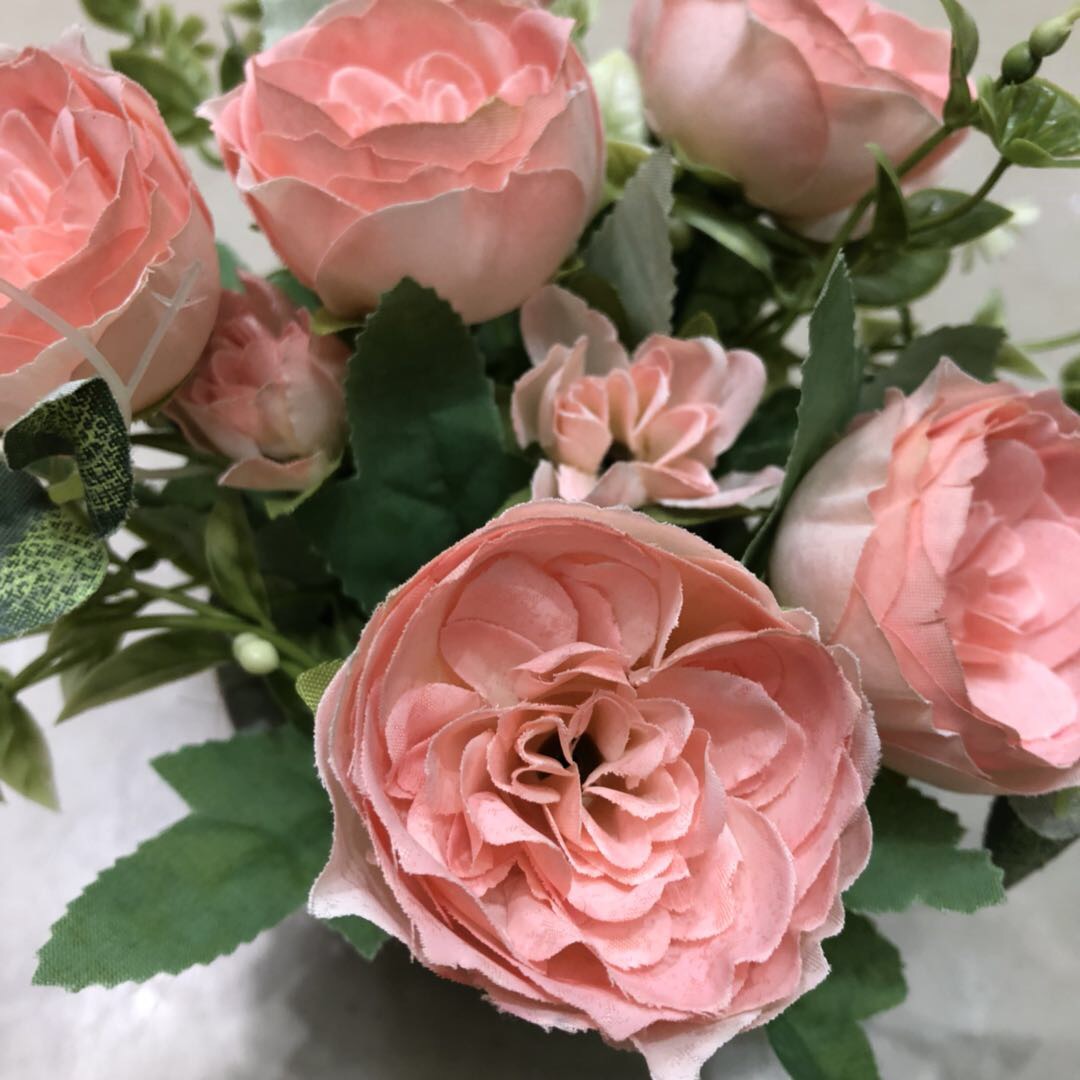 Simulated British Austin rose seedlings, Anick Castle balcony courtyard garden potted rose with large flowers and strong fragrance Specification image