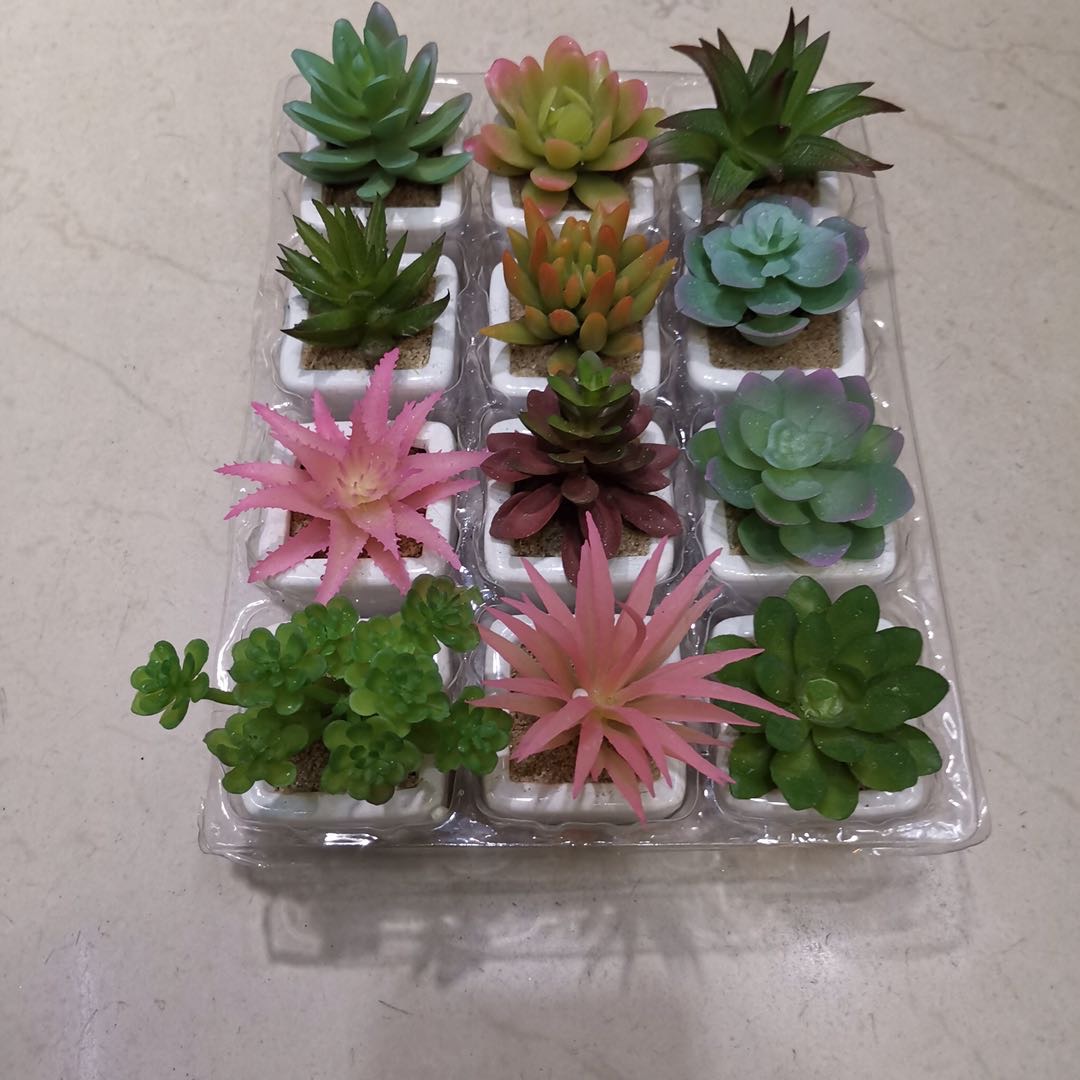迷你陶瓷多肉仿真田园小清新192pcd装仿真产品图