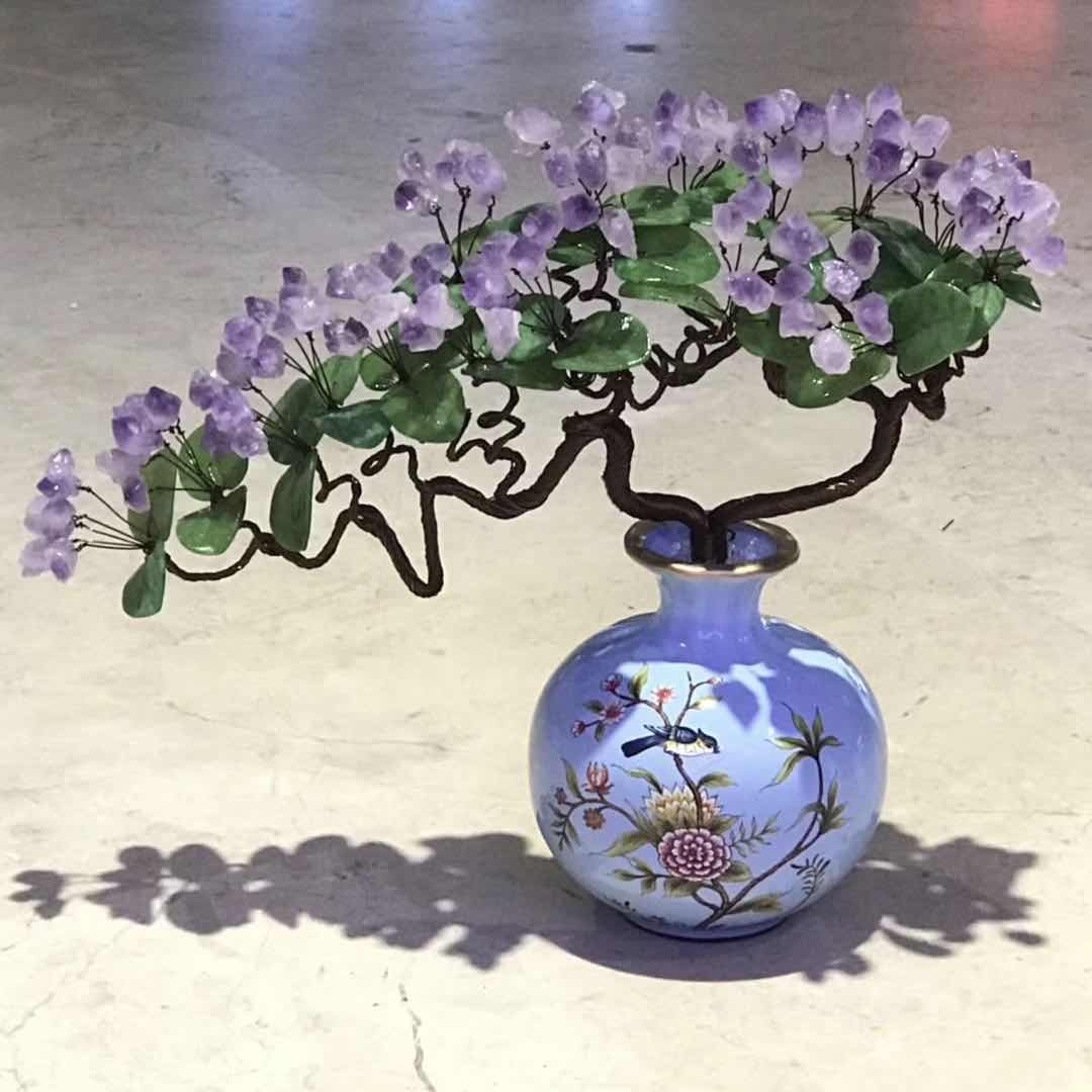 Happy Eyebrows Welcome Visitors Pine Money Tree details Picture
