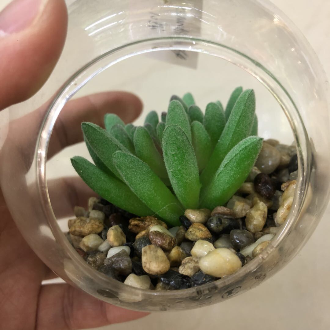 Creative and cute car ornaments, car interior plant potted plants, simulated succulents, car interior decoration items for women details Picture
