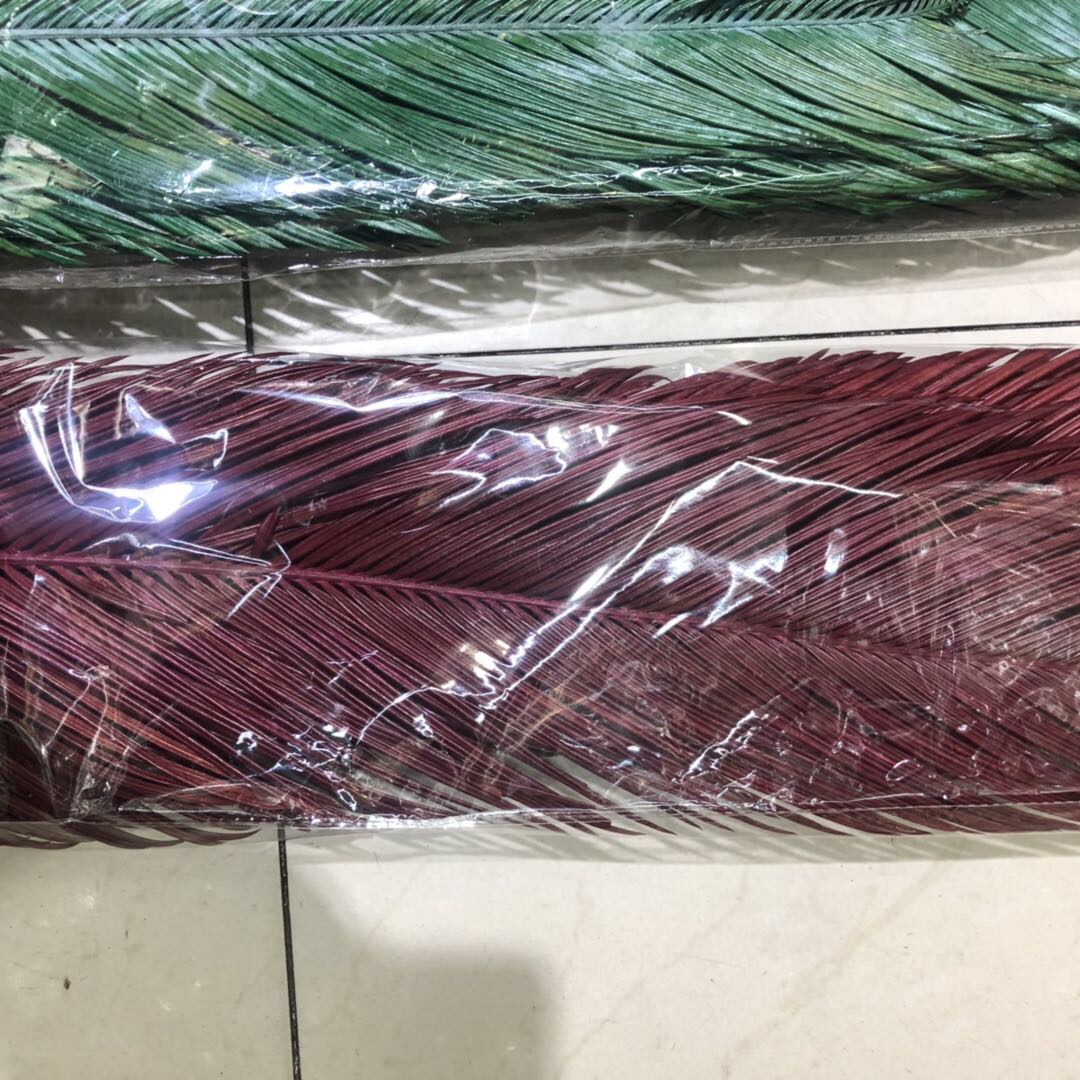 New varieties of cycad leaves are now picked, including loose tail leaves, multi-year cycad leaves, wedding decoration, eternal dried flowers, and large leaves for flower arrangement details Picture