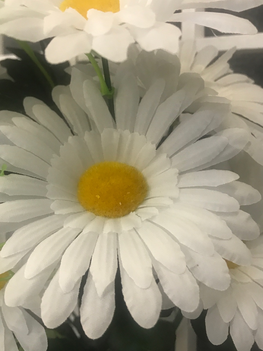 北长人造仿真丝花厂绢布18头平菊细节图