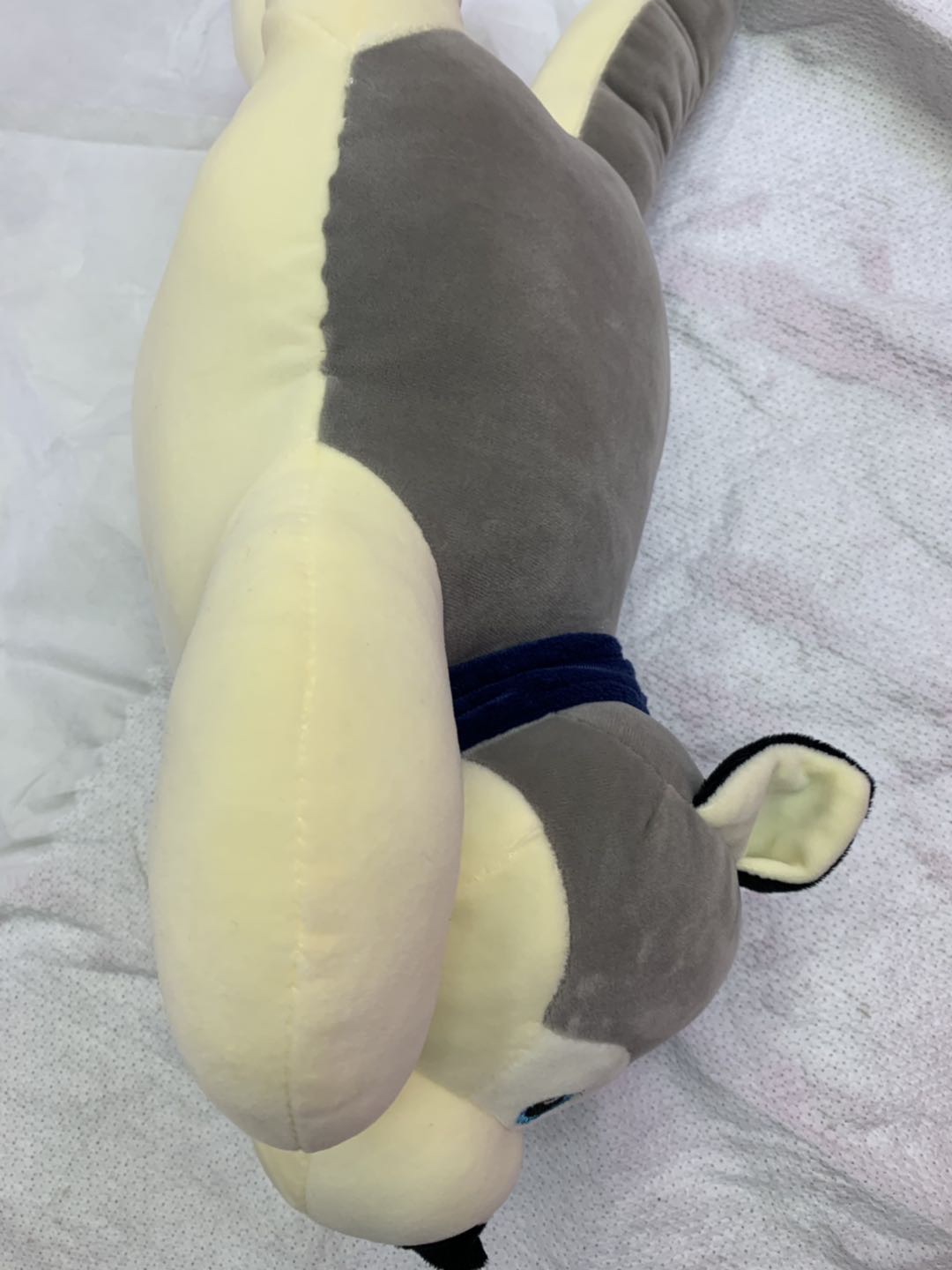 The four-sided short furry dog toy can be used as a pillow as a birthday gift details Picture