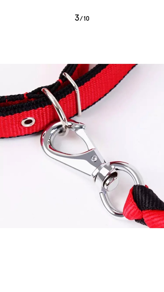 Red vintage woven thickened pet leash Specification image
