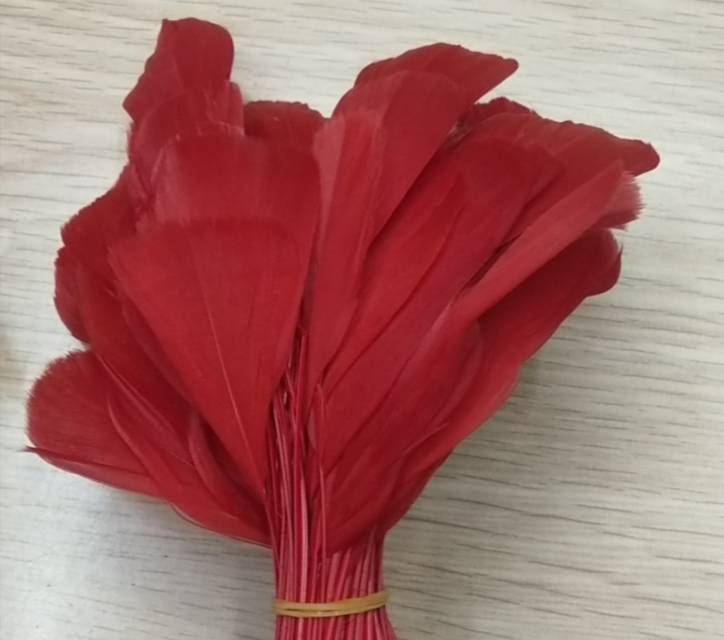 红色火鸡毛手工材料白色彩色羽毛饰产品图