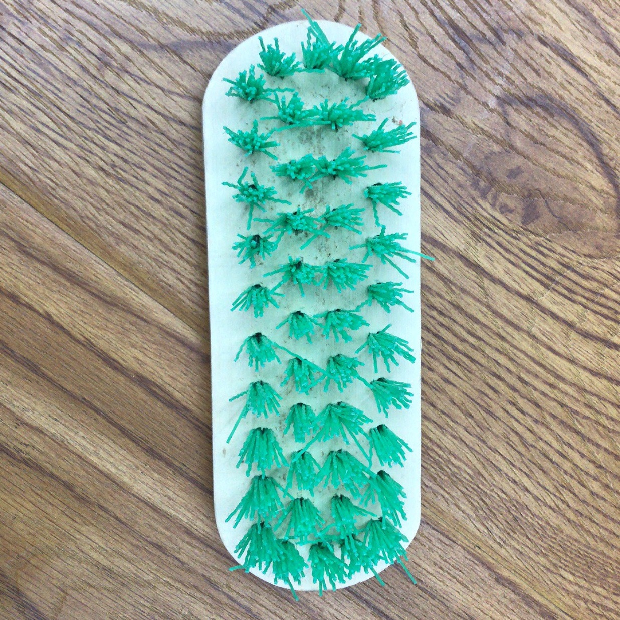 地板刷家用洗衣刷刷子洗衣服刷子强力清洁刷