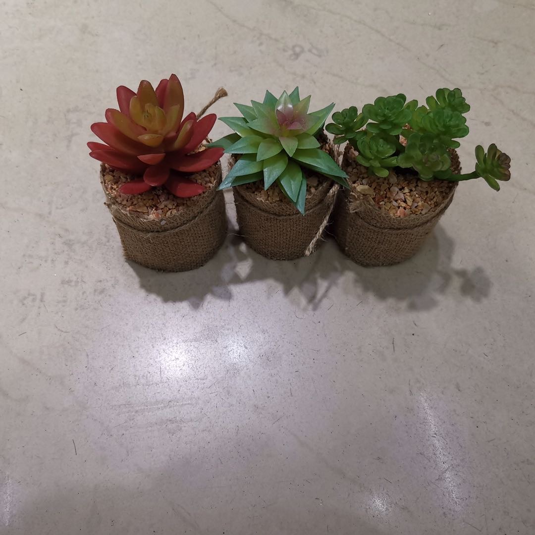 仿真塑料麻布仿真多肉家居摄影摆件装饰288装
