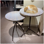 Nordic casual style wooden iron frame coffee table and flower stand