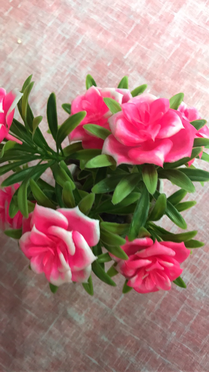 多肉植物墙植绒假多肉组合室内塑料绿植装饰花摆件细节图