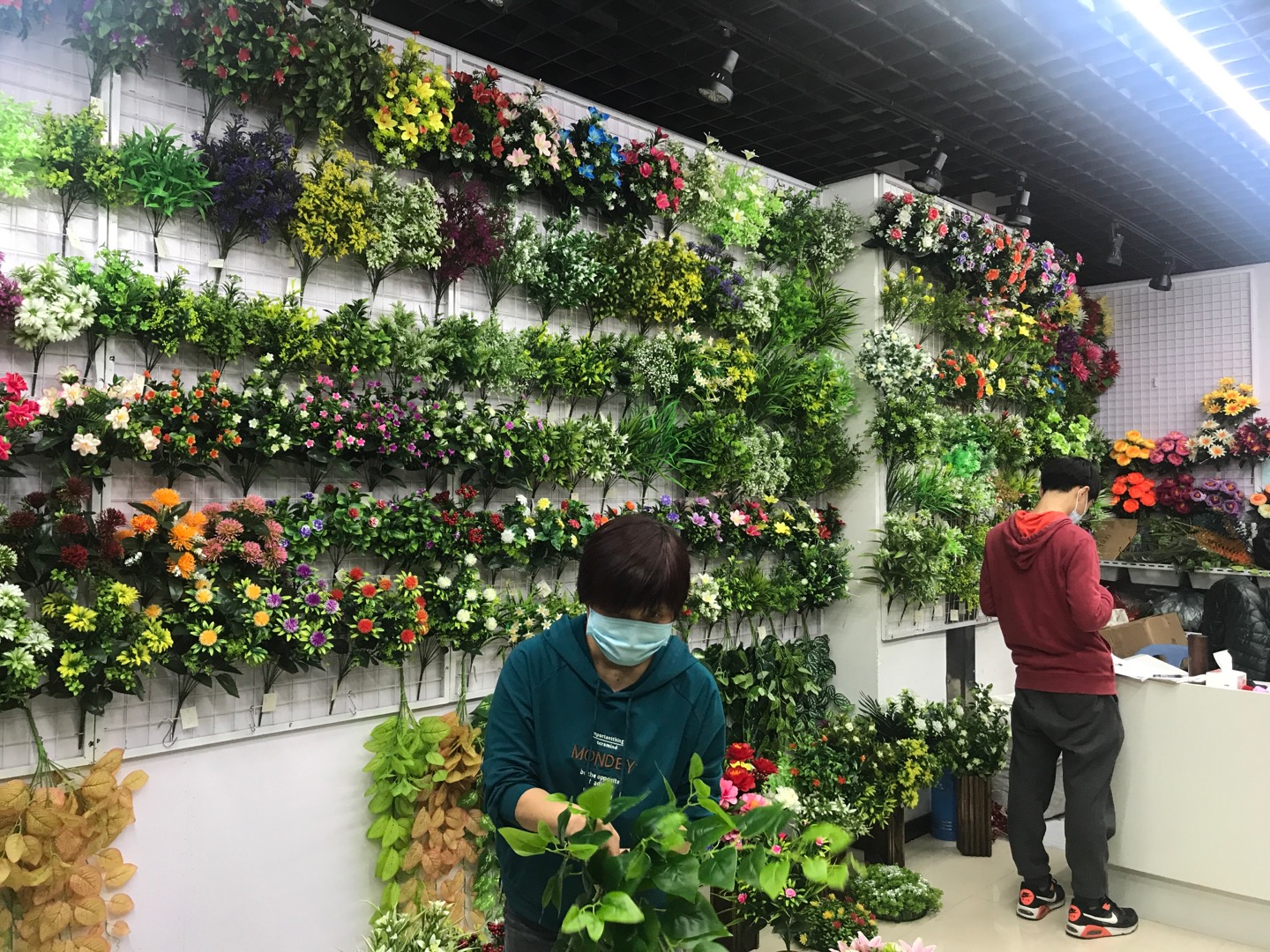 The leaves and flower base of the Yongming flower describe pic - 1