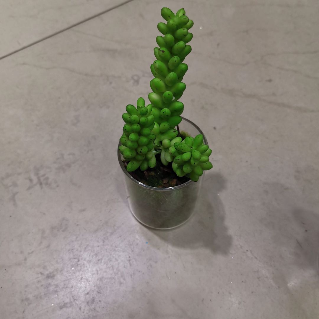 仿真植物塑料材质玻璃瓶多肉盆栽144pcs装细节图