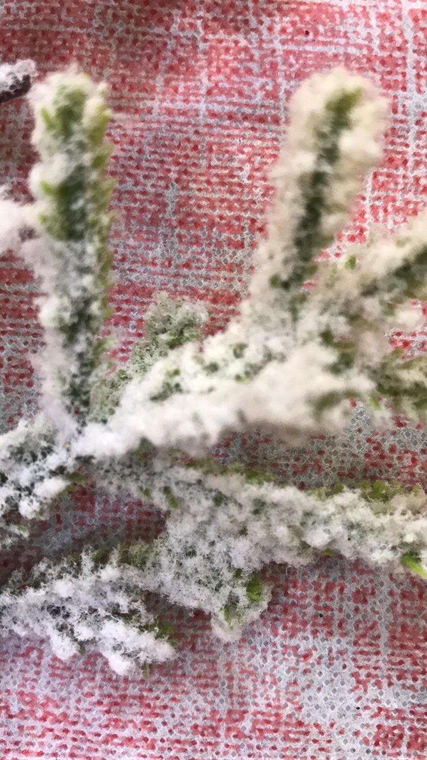 仿真长枝花批发人造餐桌摆放花艺装饰花束插花搭配细节图