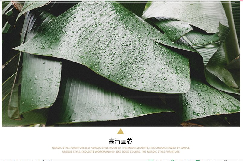 客厅照片墙装饰免打孔创意房间背景墙面布置北欧ins相框挂墙组合白色产品图