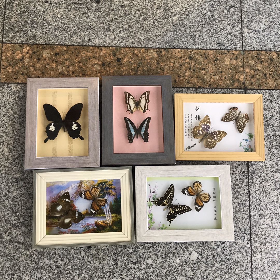 立体中空相框大全剪纸画丝线画装裱框蝴蝶动物树叶植物立体标本框相框